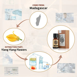 AKARZ Ylang-Ylang Ätherisches Öl Natürlich für Haut Körper Haarpflege Diffuser Kerzen Seifenherstellung DIY Massage Aroma Ylang Ylang Öl